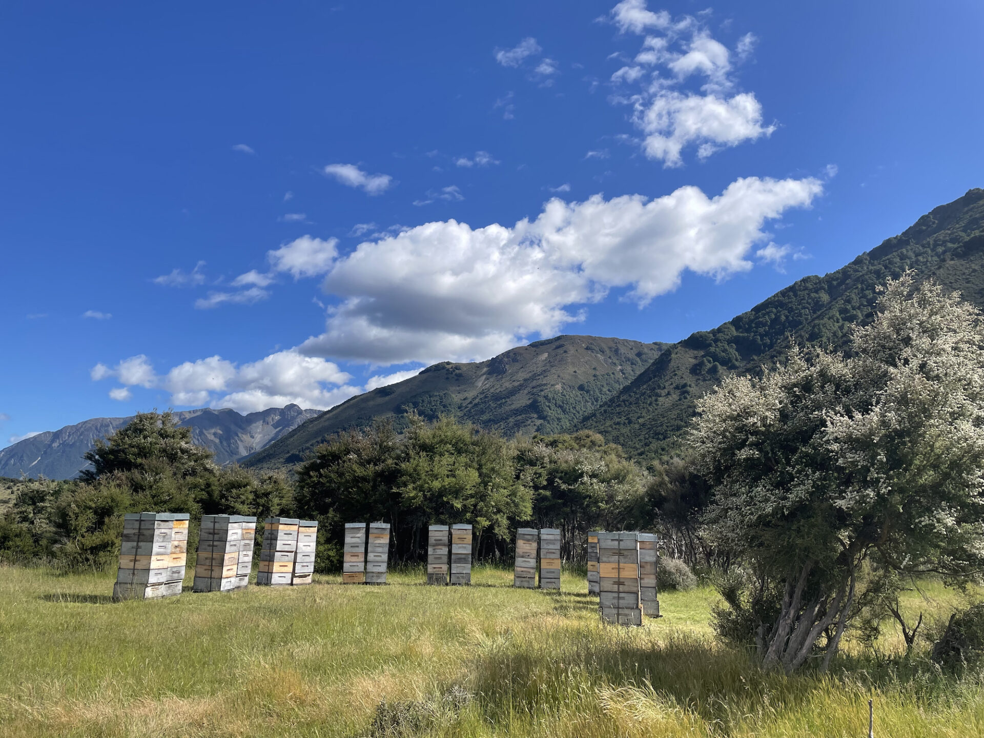 年末年始のお休みのお知らせ